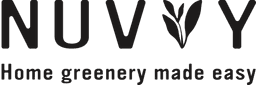 Nuvvy — home greenery made easy