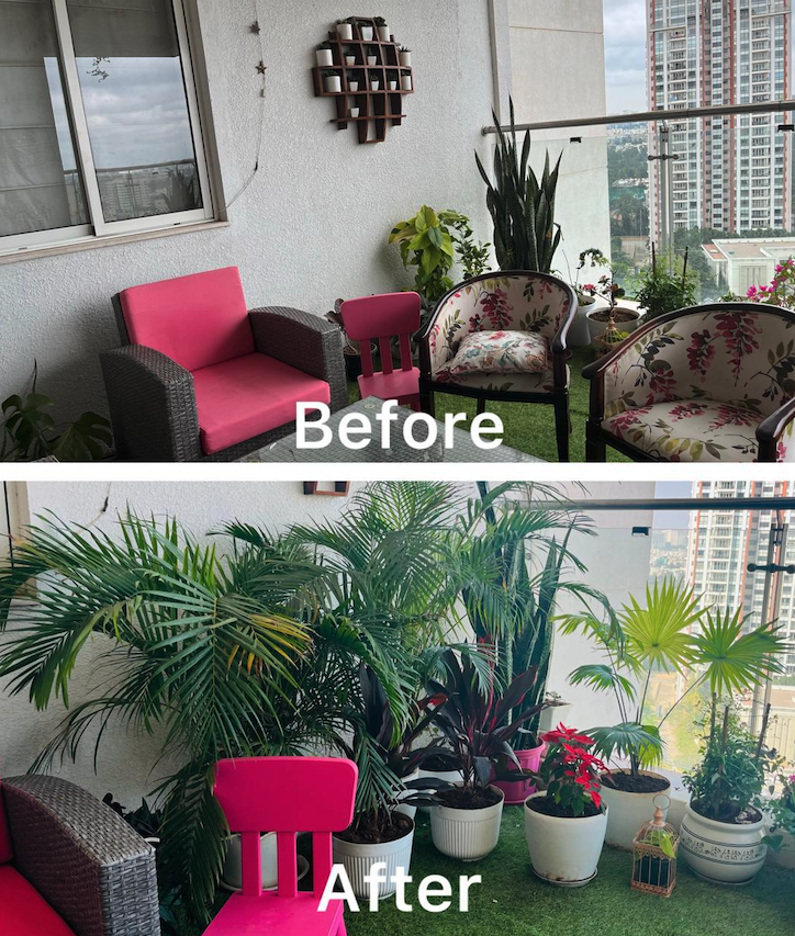 Balcony plants thriving after Nuvvy garden care service